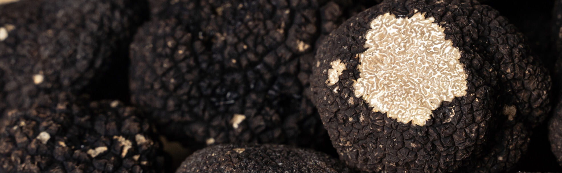 Nunzia Truffle